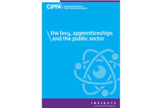 the_levy_public_sector